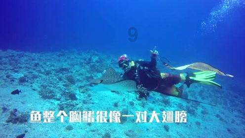 逃出上锁的现代房间8